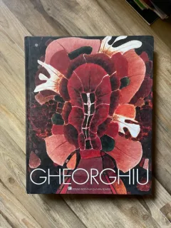 Ion Alin Gheorghiu, album pictura  (editie bilingva romana/engleza)