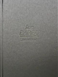 ION BARBU, JOC SECUND