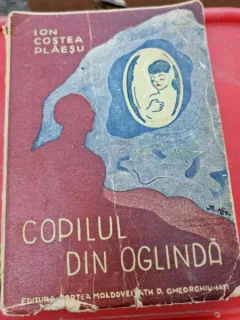 Ion Costea Plaesu - Copilul din Oglinda