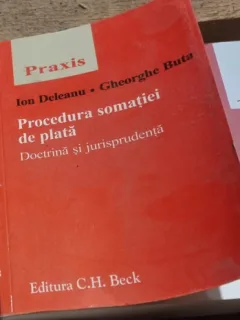 Ion Deleanu, Gheorghe Buta - Procedura Somatiei de Plata