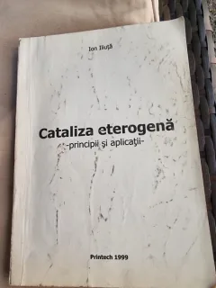 Ion Iliuta - Cataliza Eterogena. Principii si aplicatii