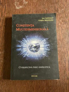 Ion Manzat - Constiinta multidimensionala
