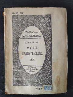 Ion Montani - Valul Care Trece