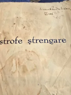 ION PRIBEAGU - STROFE STRENGARE