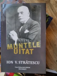 Ion V. Stratescu - Muntele uitat