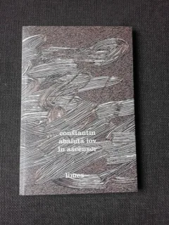 IOV IN ASCENSOR - CONSTANTIN ABALUTA  (POEZIE, CARTE CU DEDICATIE)