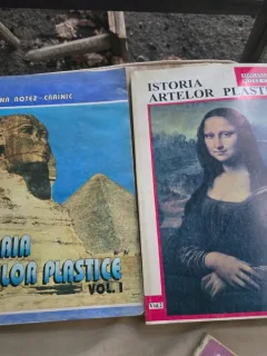 ISTORIA ARTELOR PLASTICE 2 VOL - ADRIANA BOTEZ CRAINIC