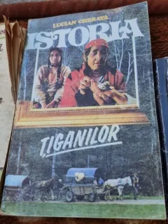 ISTORIA TIGANILOR - LUCIAN CHERATA