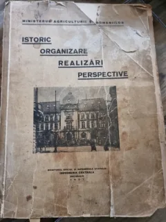 Istoric, organizare, realizari, perspective
