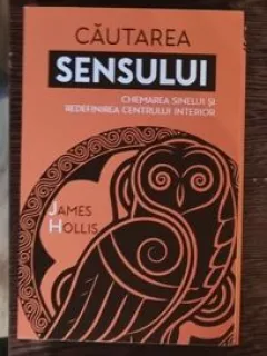 James Hollis - Cautarea sensului