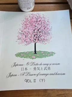Japonia. O lectie de curaj si eroism Vol.II