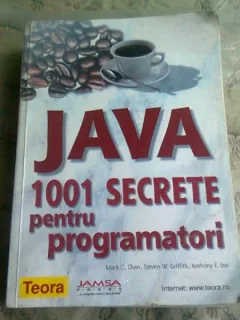 JAVA 1001 SECRETE PENTRU PROGRAMATORI - MARK C. CHAN