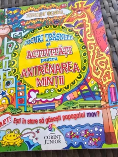 Jocuri trasnite si activitati pentru antrenarea mintii - Lisa Regan