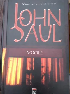 John Saul - Vocile
