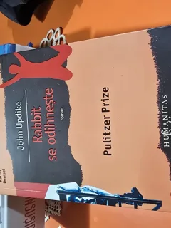 JOHN UPDIKE - RABBIT SE ODIHNESTE