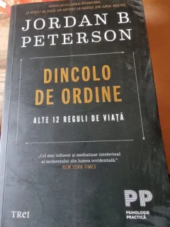 Jordan B. Peterso - Dincolo de ordine. Alte 12 reguli de viata