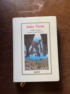Jules Verne - Indiile negre. Goana dupa meteor (Nr. 19)