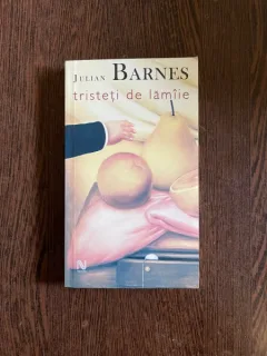 Julian Barnes - Tristeti de lamaie
