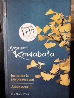 Jurnal de la saisprezece ani. Adolescentul - Yasunari Kawabata