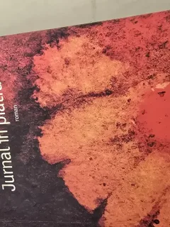 JURNAL IN PIATRA -CAROL SHIELDS