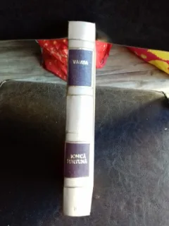 JURNALUL NAZBATIILOR LUI IONICA FURTUNA - VAMBA