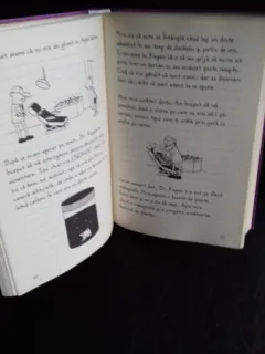 JURNALUL UNUI PUSTI ADEVARUL GOL GOLUT - JEFF KINNEY