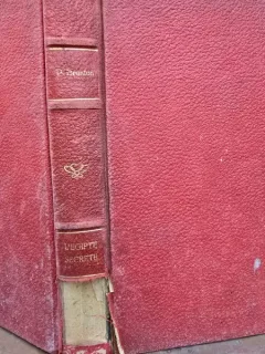 L EGYPTE SECRETE - PAUL BRUNTON