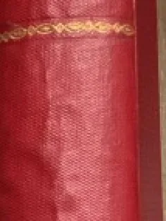 L homme a la tete d epingle - Cami