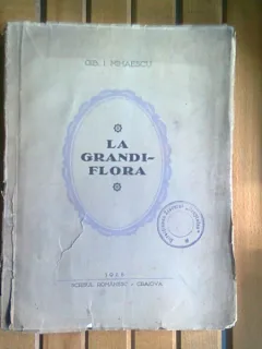 La grandiflora - Gib. Mihaiescu