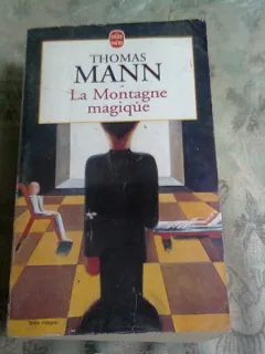 LA MONTAGNE MAGIQUE - THOMAS MANN (CARTE IN LIMBA FRANCEZA)