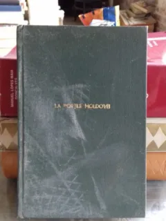 LA PORTILE MOLDOVEI - STEFAN PARASCHIVESCU