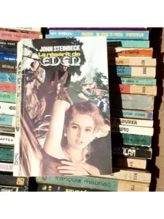 La rasarit de eden (vol 1) , John Steinbeck , 1992