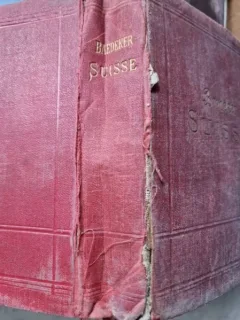 LA SUISSE - K. BAEDEKER  (CARTE IN LIMBA FRANCEZA)