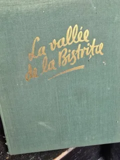 La Vallee de la Bistrita - Eusebiu Camilar