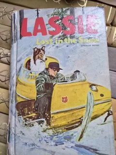 Lassie lost in the snow