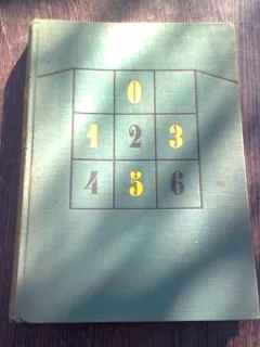 LE JOUEUR - DOSTOIEVSKI  (CARTE IN LIMBA FRANCEZA)