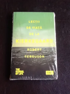 Lectii de viata de la Kierkegaard - Robert Ferguson