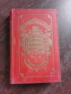 LES DEUX NIGAUDS - COMTESSE DE SEGUR  (CARTE IN LIMBA FRANCEZA)