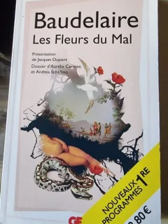 Les fleurs du mal - Charles Baudelaire