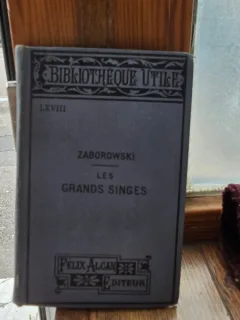 Les Grands Singes - Zaborowski