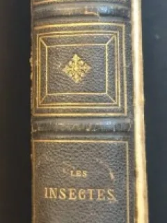 LES INSECTES - LOUIS FIGUIER