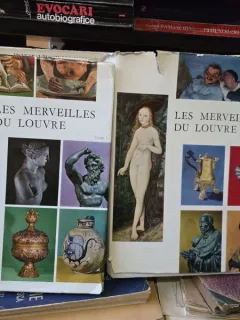 Les Merveilles du Louvre tome I et II