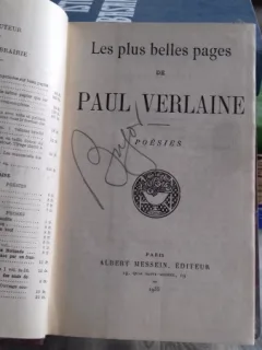 LES PLUS BELLES PAGES DE PAUL VERLAINE  (CELE MAI FRUMOASE PAGINI/POEZII ALE LUI VERLAINE)