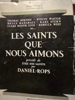 Les Saints que nous aimons - Collectif