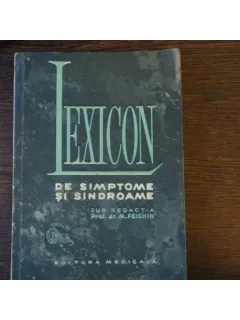 LEXICON - M.FEIGHIN