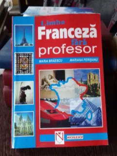 LIMBA FRANCEZA FARA PROFESOR - MARIA BRAESCU