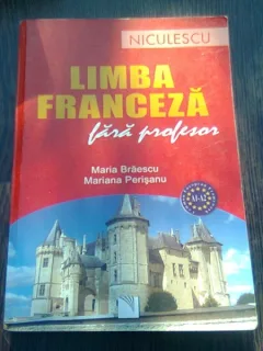 LIMBA FRANCEZA FARA PROFESOR - MARIA BRAESCU