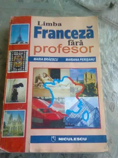 LIMBA FRANCEZA FARA PROFESOR - MARIA BRAESCU