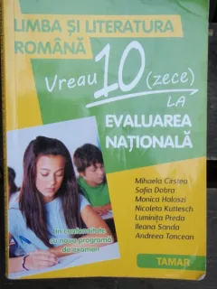 LIMBA SI LITERATURA ROMANA - MIHAELA CIRSTEA