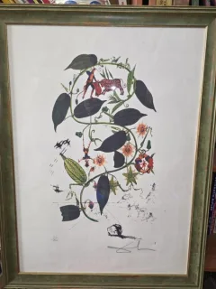 Litografie originala Salvador Dali - Passiflora (Floarea pasiunii)